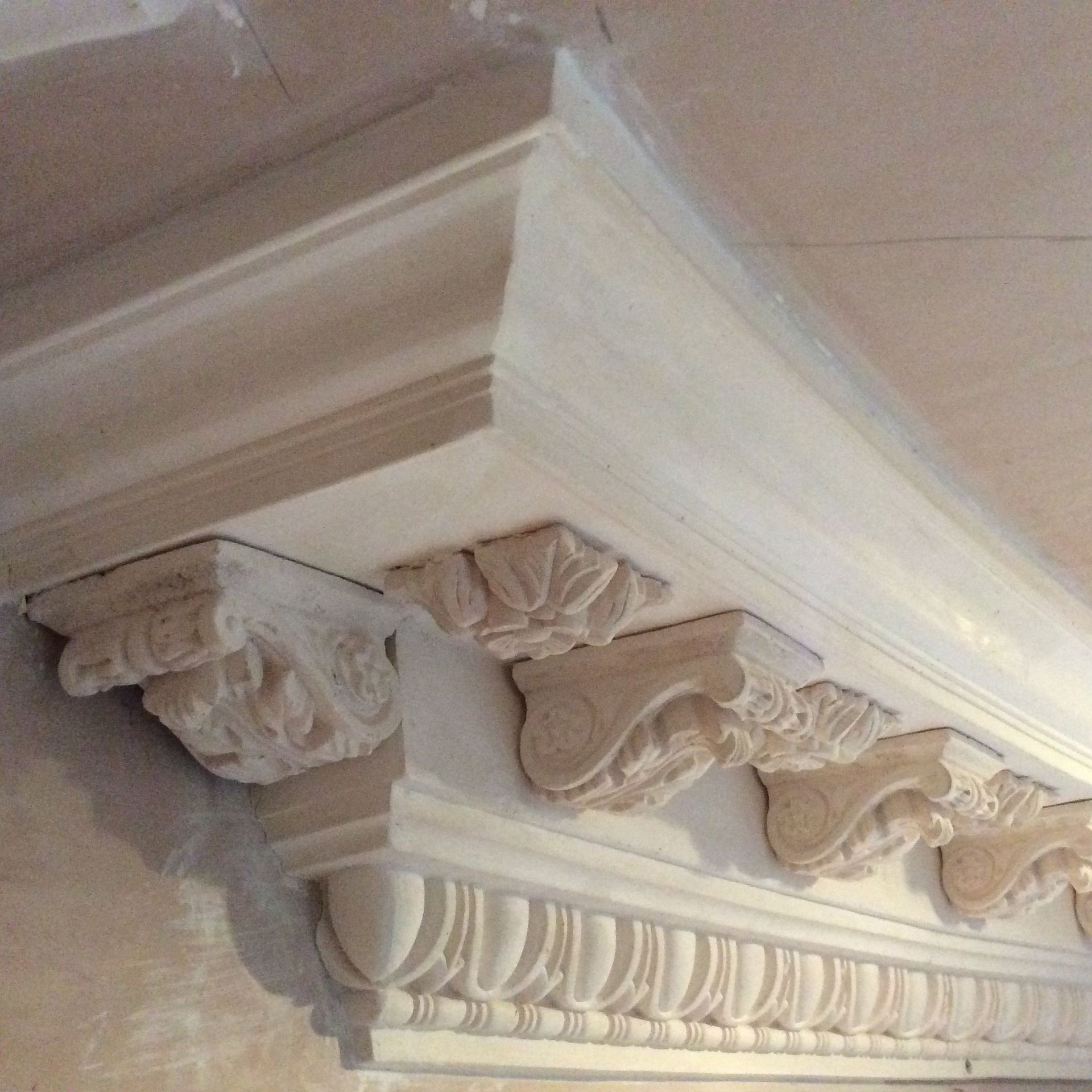 plain coving experts