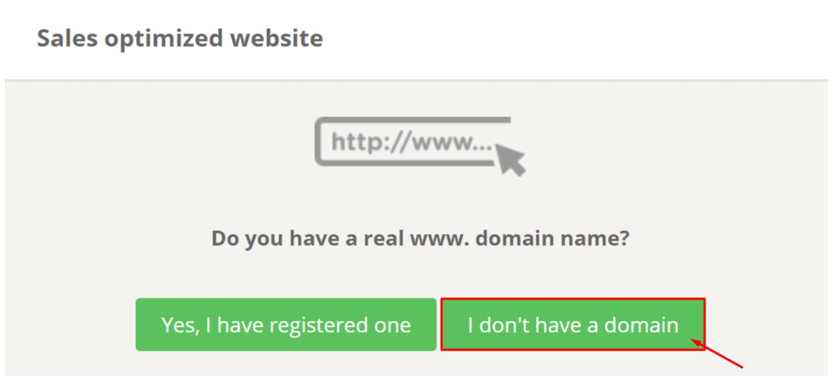 Verkaufsoptimierte Website mit Abfrage nach einer Domain. Zwei Schaltflächen: „Ja, ich habe eine registriert“ und „Ich besitze keine Domain“.
