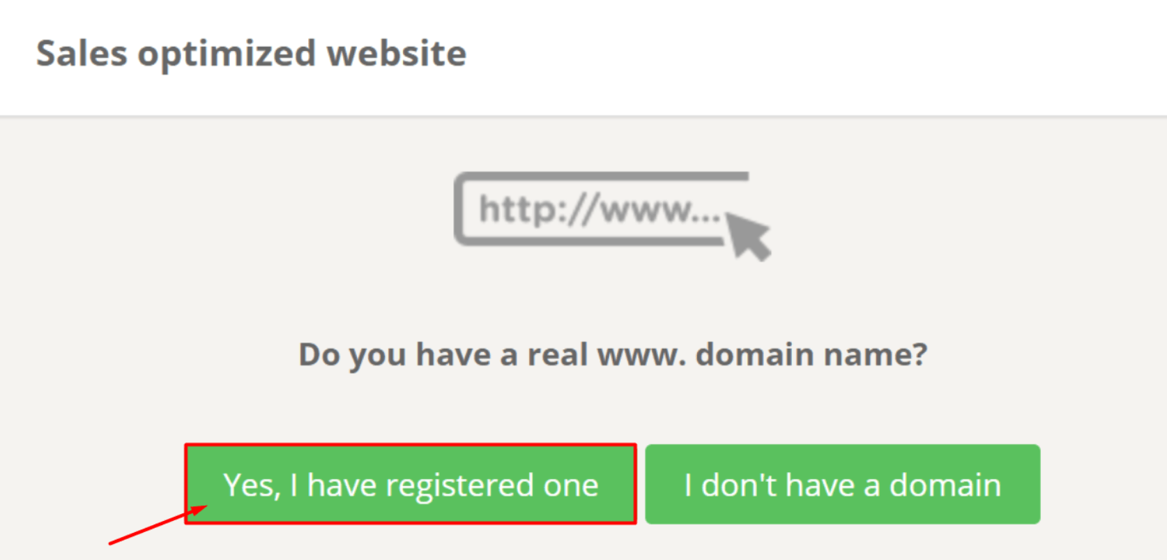 Eine Webseite mit der Frage „Besitzen Sie eine echte www. Domain?“ und grünen Schaltflächen: „Ja, ich habe eine registriert“ und „Ich besitze keine Domain“.