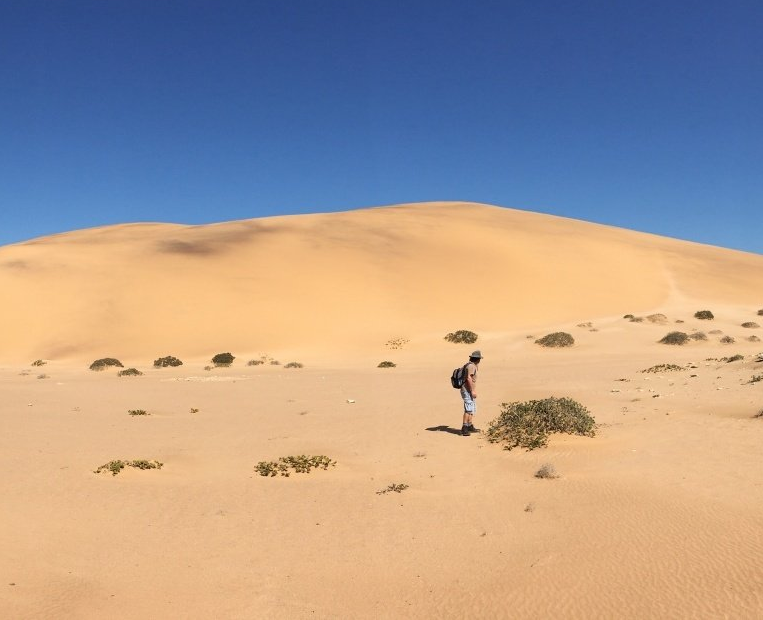 Operationele ondersteuning