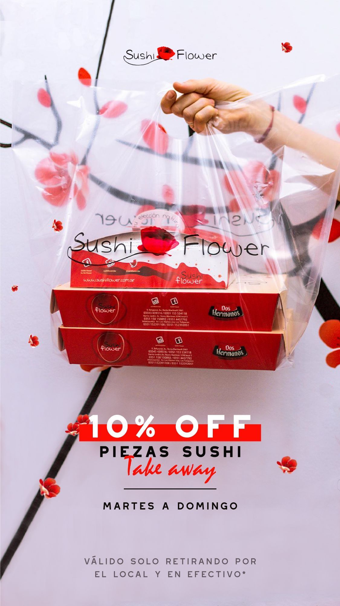 A person is holding a plastic bag of sushi boxes.