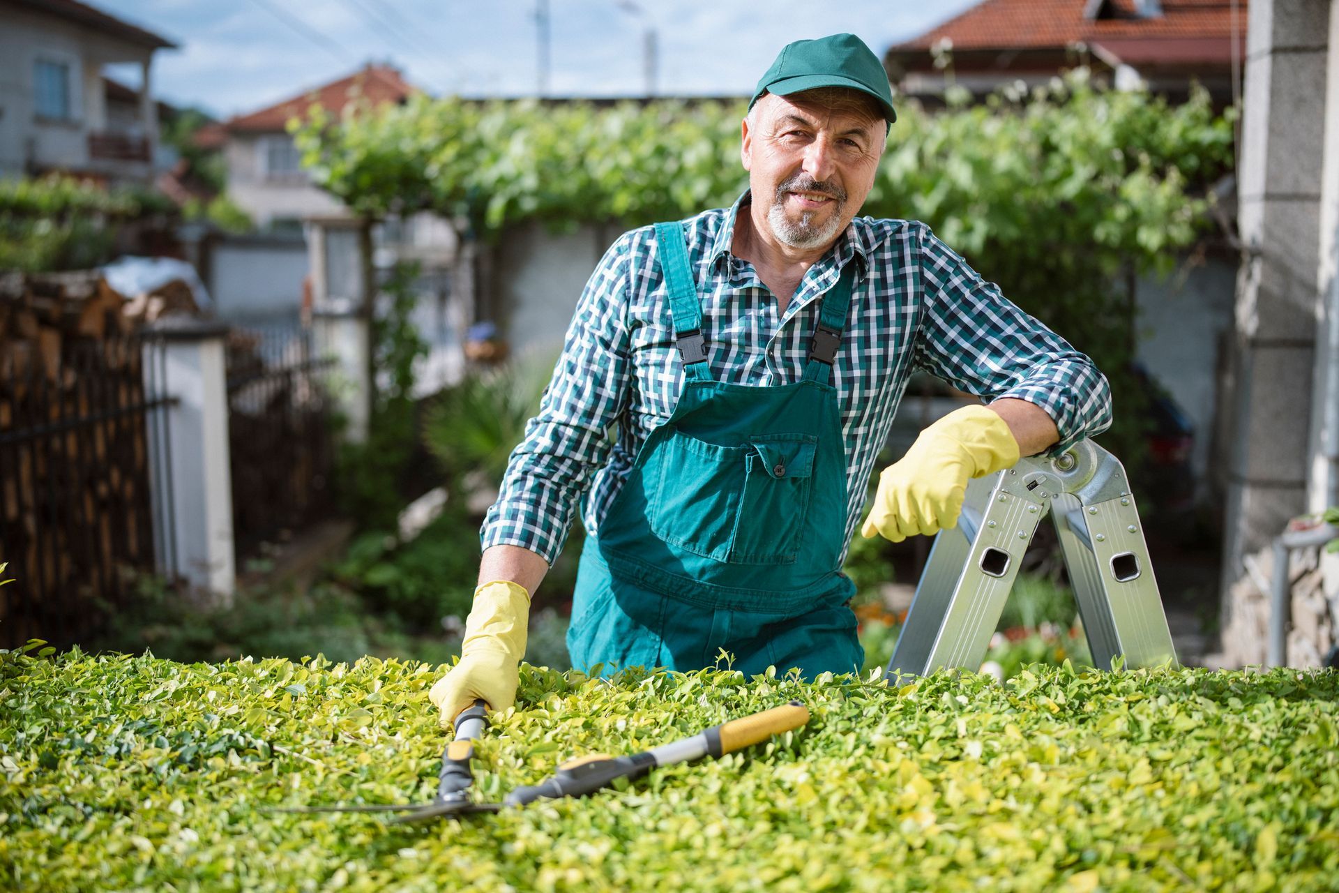 A man is trimming a hedge with a ladder in the background.