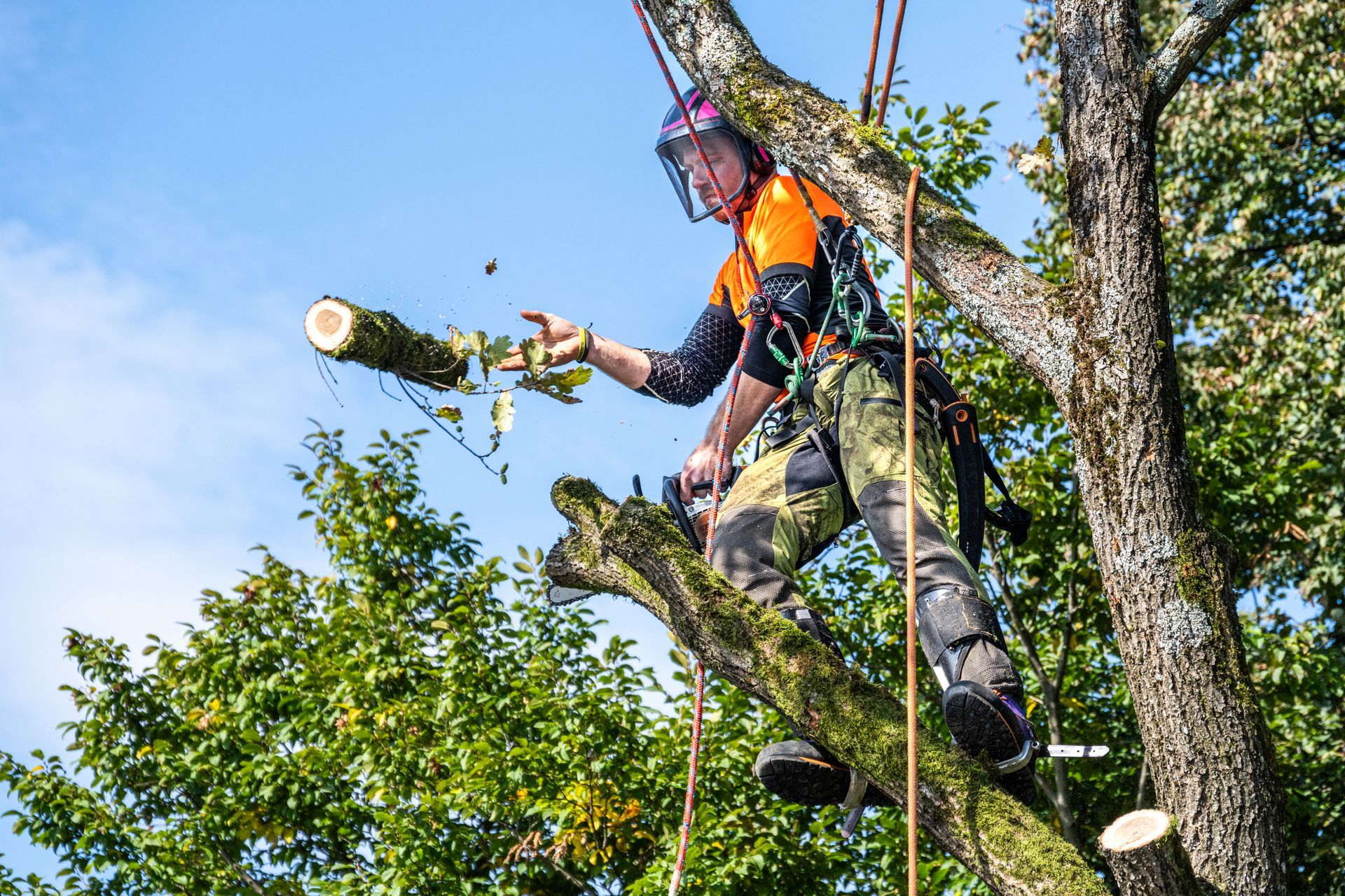 A man is cutting a tree branch with a chainsaw.
