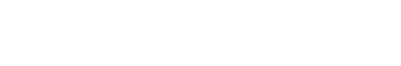 The Parturi logo