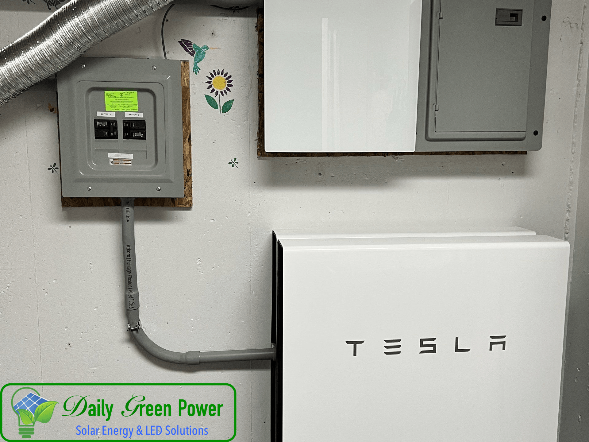 daily green power solar energy & LED Solutions Kentucky