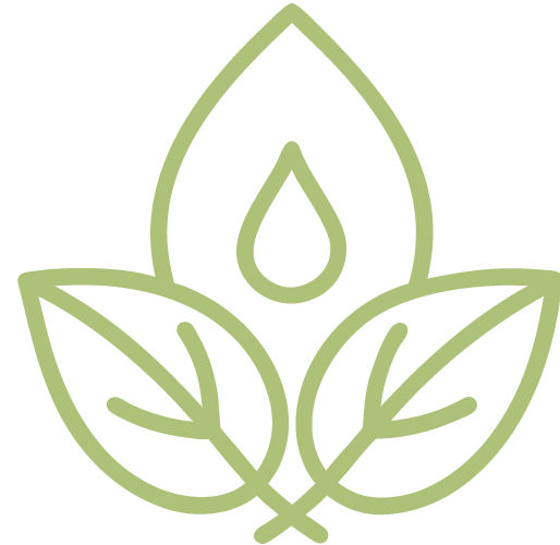 Aroma Freedom Sessions