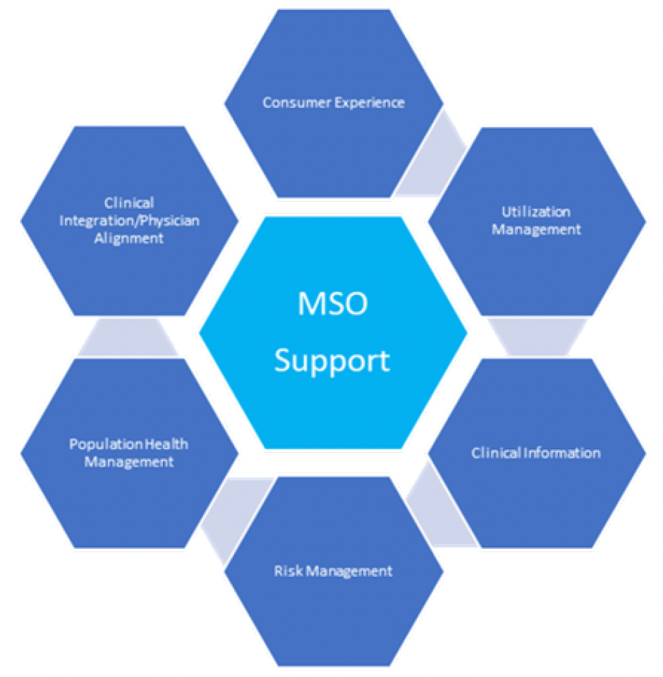 diagram of what an mso in healthcare is