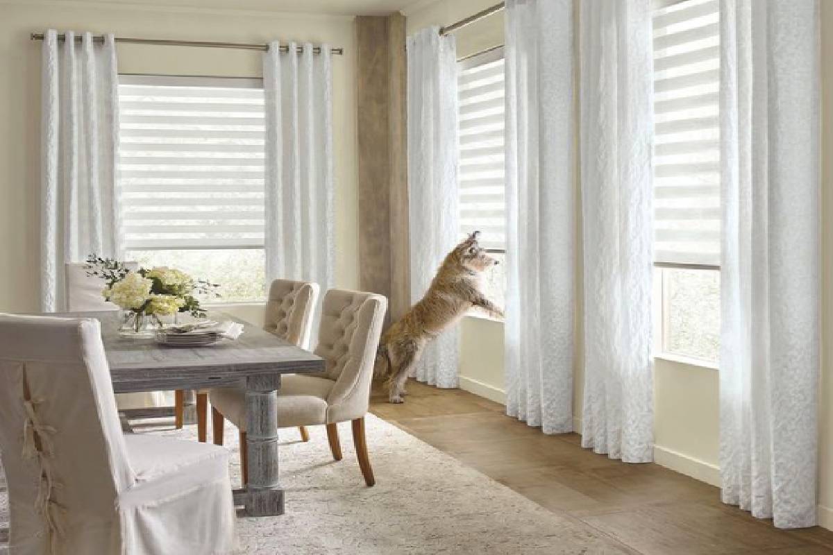 a dog is jumping out of a window with roller shades and  drapery in a dining room Simply Windows.