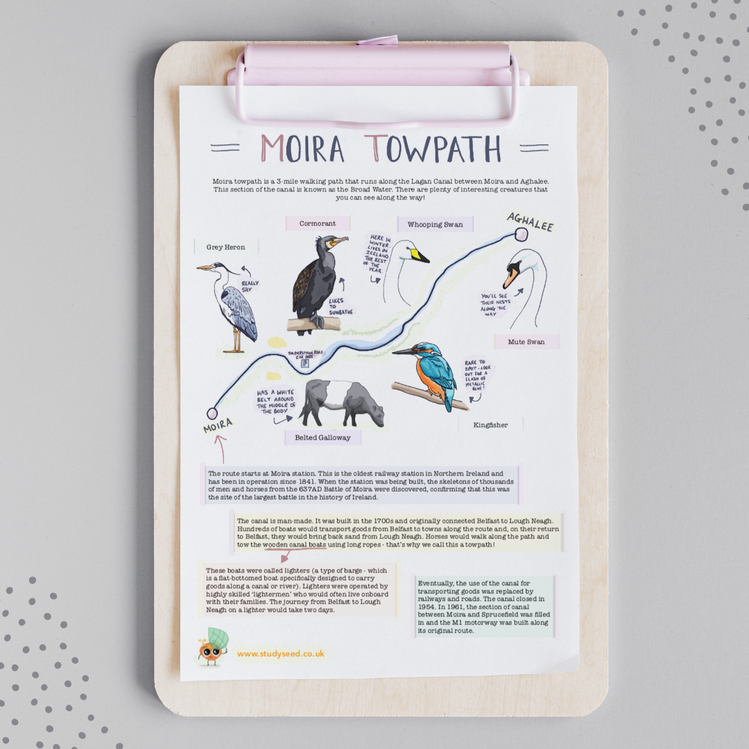Clipboard with a map of Moira Towpath, featuring drawings of local wildlife like herons and kingfishers.