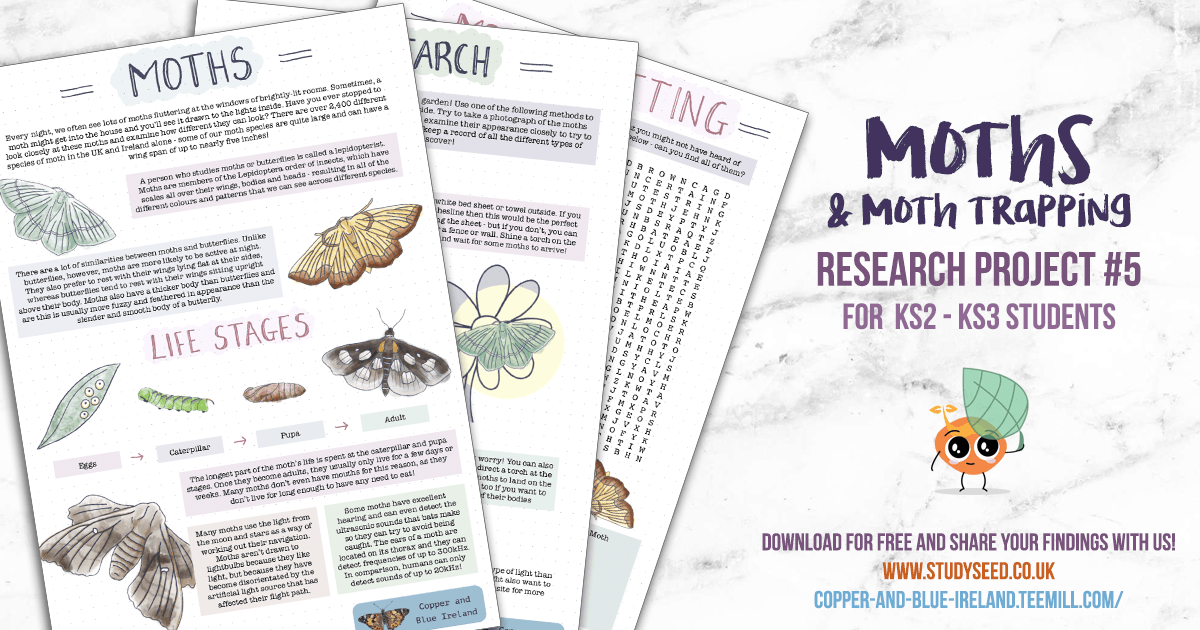 Research Project 5 - Moths and Moth Trapping