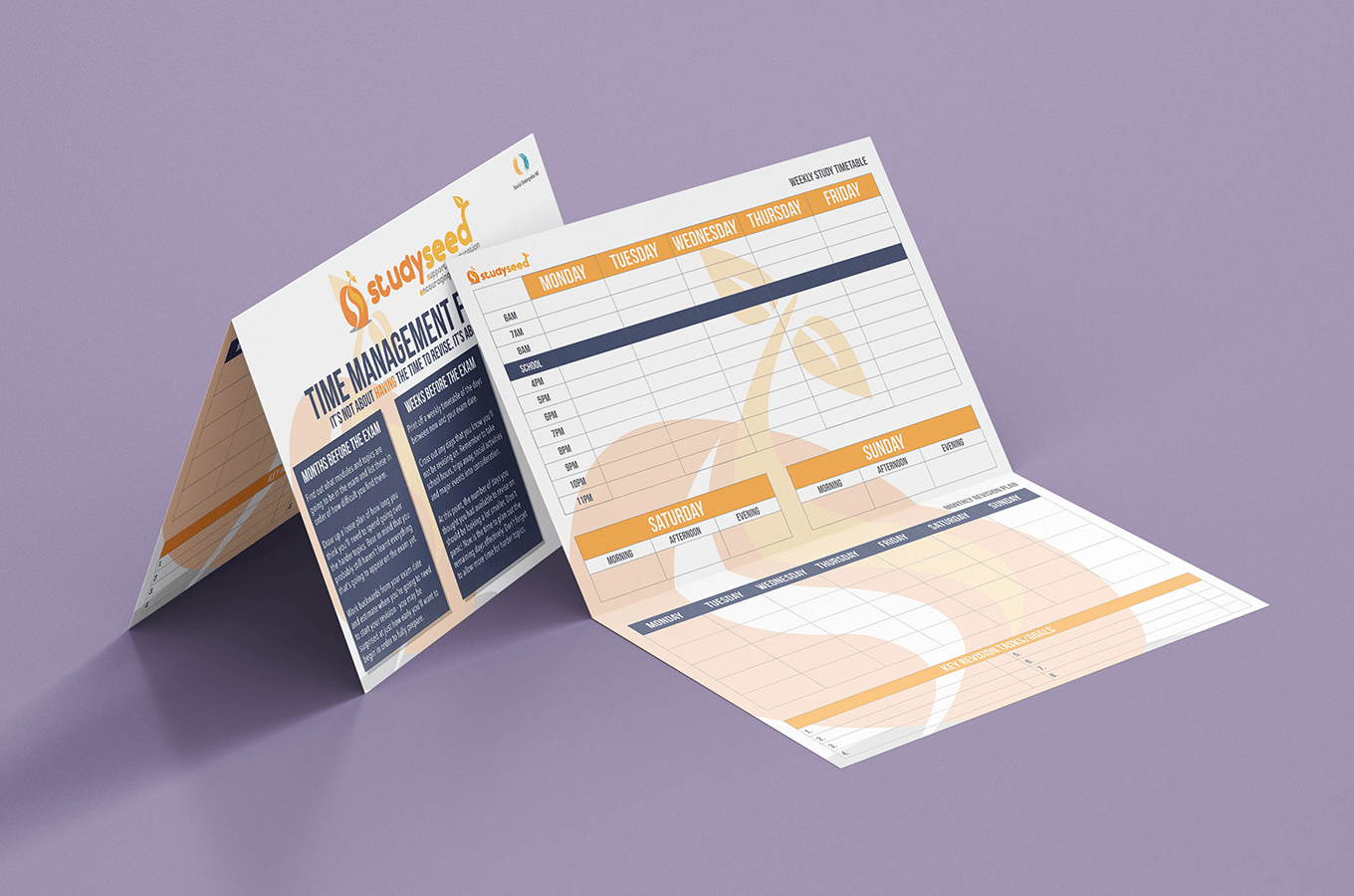 Brochure on a purple surface; folded in an M-shape, with text and illustrations in gold, white, and navy.