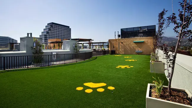 Rooftop dog park with green turf, yellow paw prints, city view, blue sky.