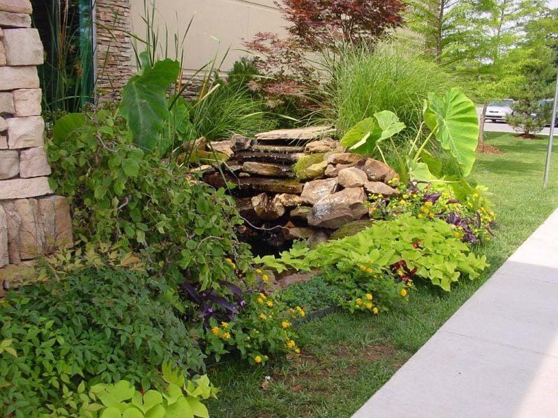 A lush green garden with a waterfall in the middle