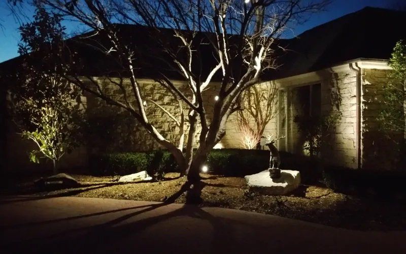A house is lit up at night with a tree in front of it