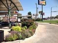 A sonic drive-in with a lot of plants growing on the side of the road.