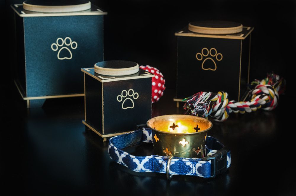 Three Boxes With Paw Prints on Them Are Sitting on a Table Next to a Collar — Pets Forever Cremations In North Lakes, QLD