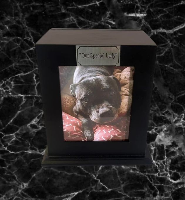 A Black Box With a Picture of a Dog in It — Pets Forever Cremations In North Lakes, QLD