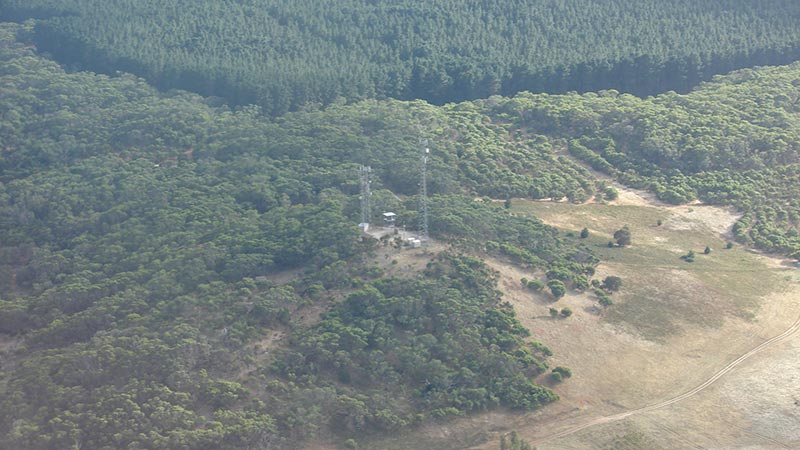 aerial view of vineyard