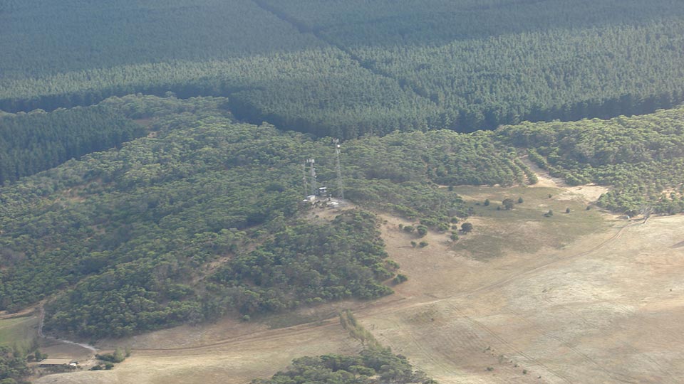 aerial view of vineyard