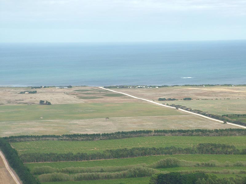 aerial view of vineyard