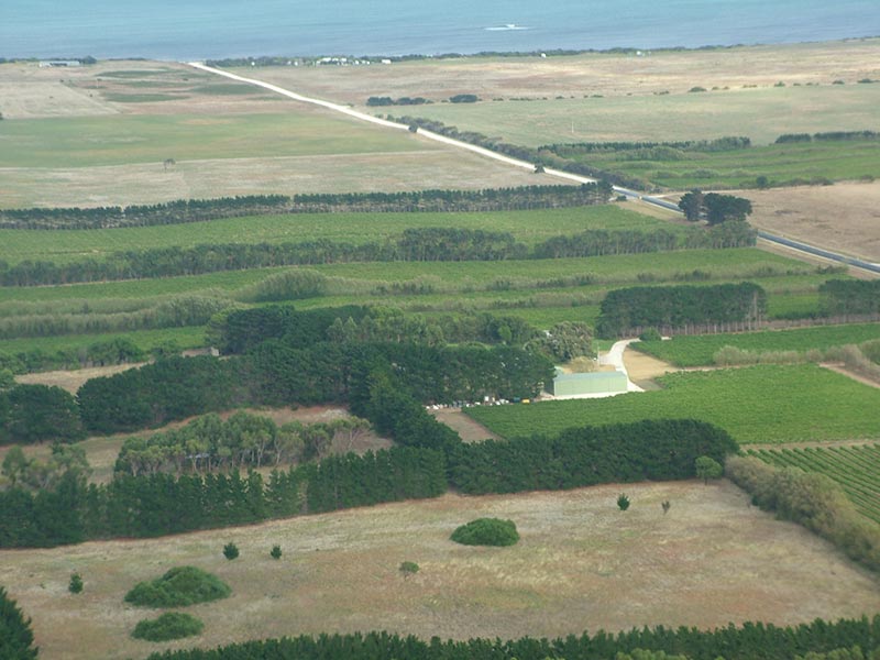 aerial view of vineyard