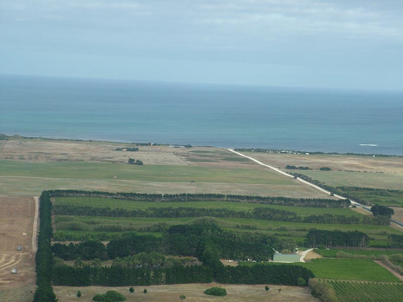 aerial view of vineyard