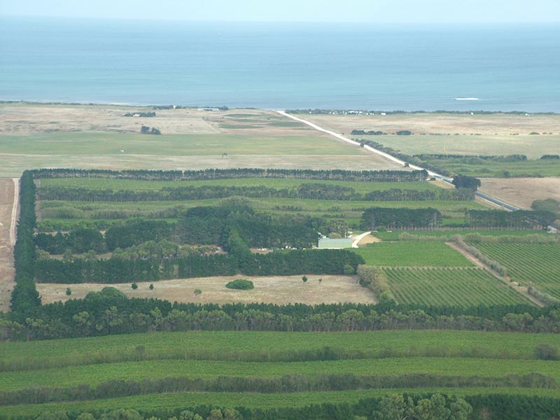 aerial view of vineyard