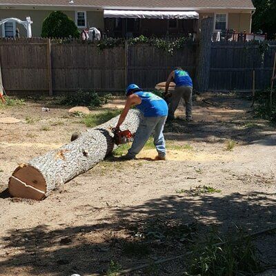 Man cutting tree log — Tree Removal  in Tom's River, NJ