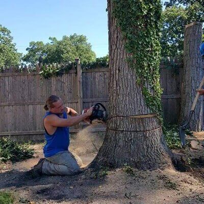 Tree cutting 4 - Tree Service in Toms River, NJ
