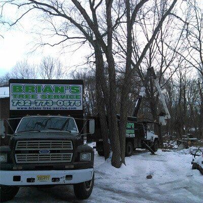 Truck 1 - Tree Service in Toms River, NJ