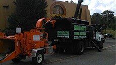 Truck - Tree Service in Toms River, NJ