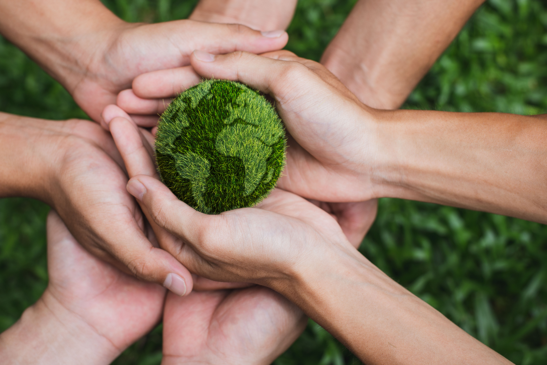 A group of people are holding a green globe in their hands.