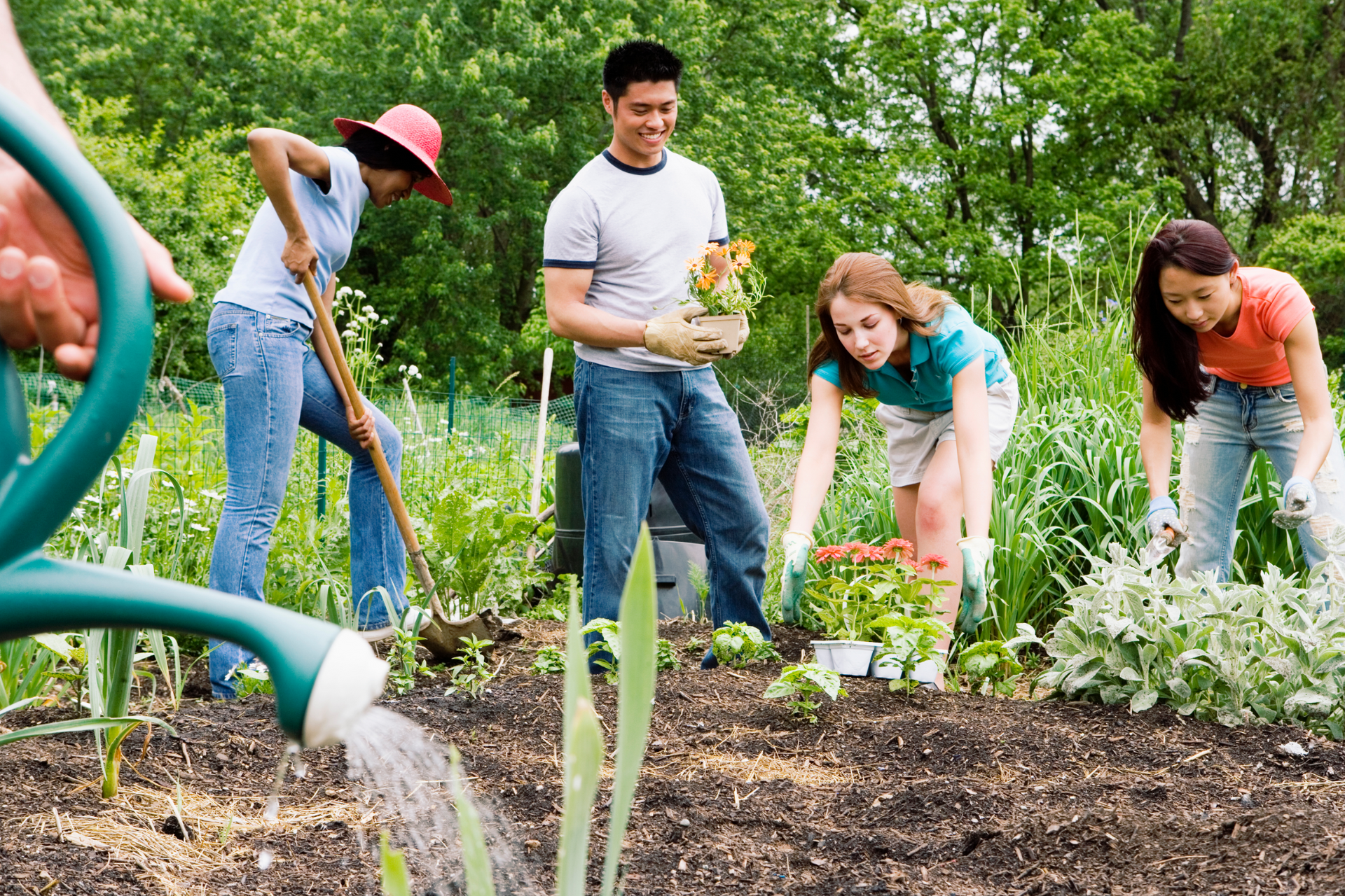 A group of people are working in a garden with a watering can
