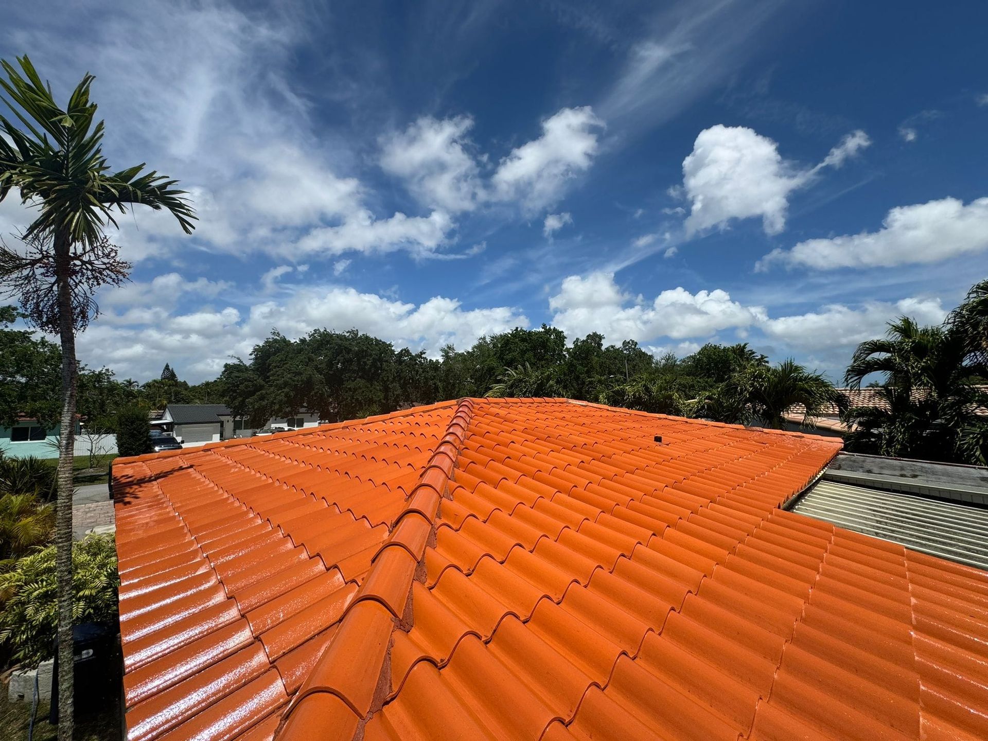 A red tiled roof with a palm tree in the background