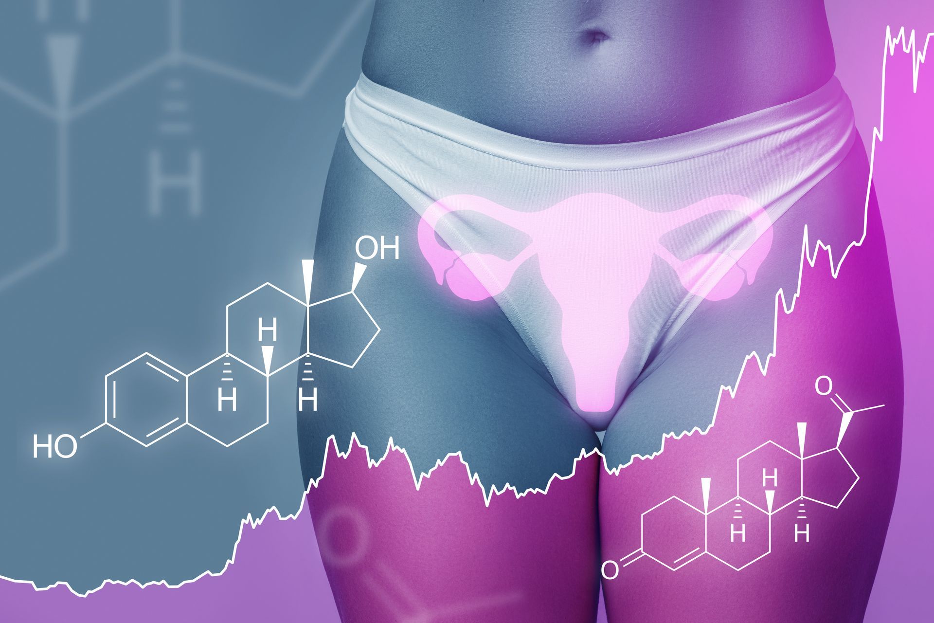 Female reproductive organs and hormones