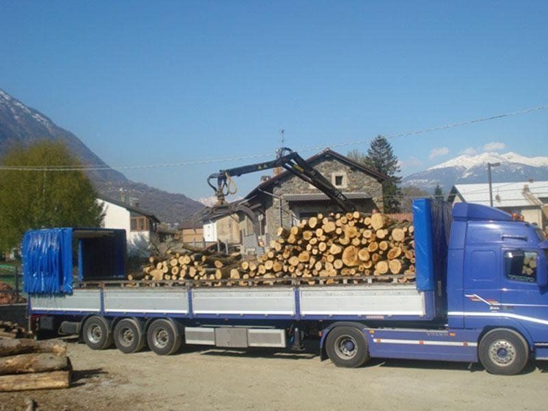 Scarico di tronchi d'albero