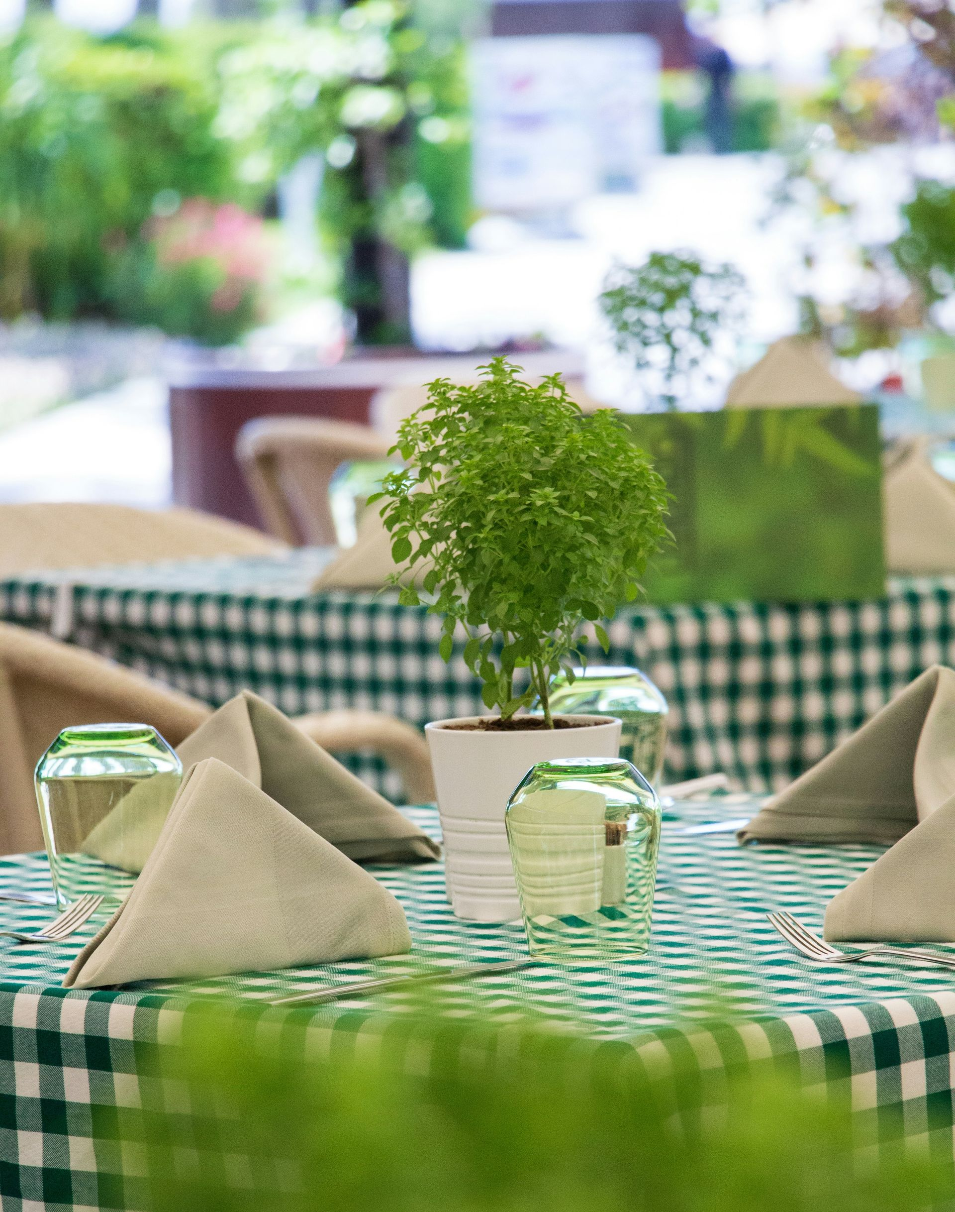 Green checkered café table with folded napkins and a small potted plant in a bright outdoor seating area