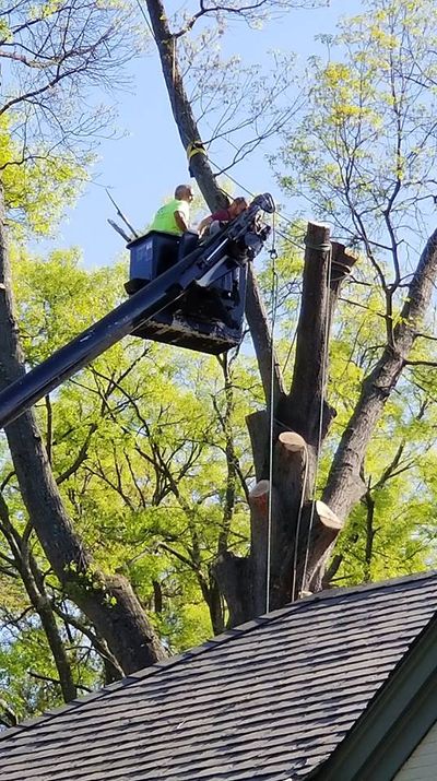 Tree-sit ends with removal of second Mountain Valley Pipeline protester -  State and Regional News - newsadvance.com