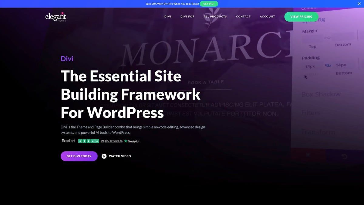 Landing page for Divi WordPress framework, headline 