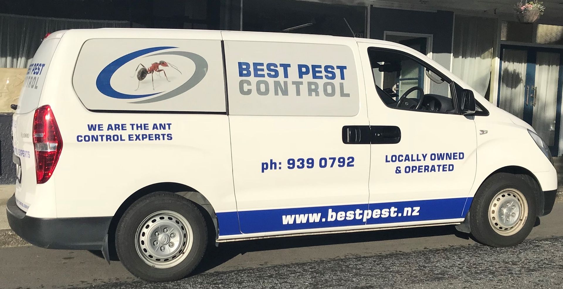 Pest Control – Wellington, NZ – Best Pest Control