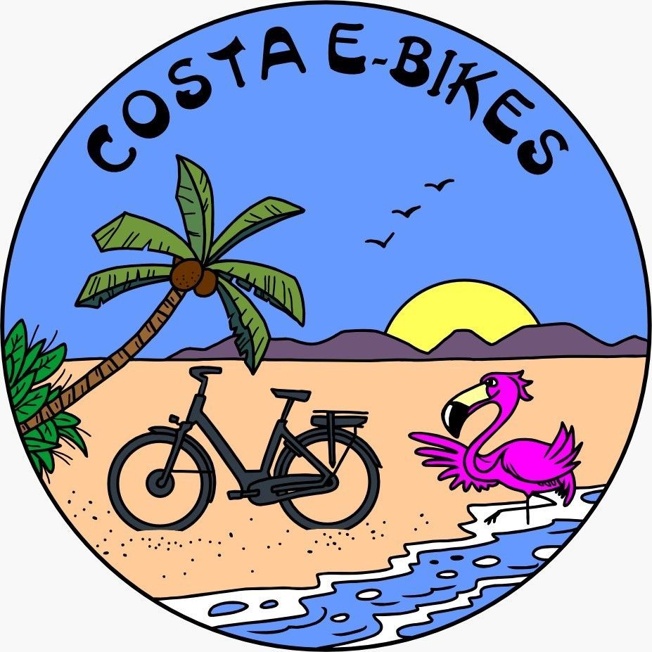 Een logo voor costa e-bikes met een flamingo op het strand