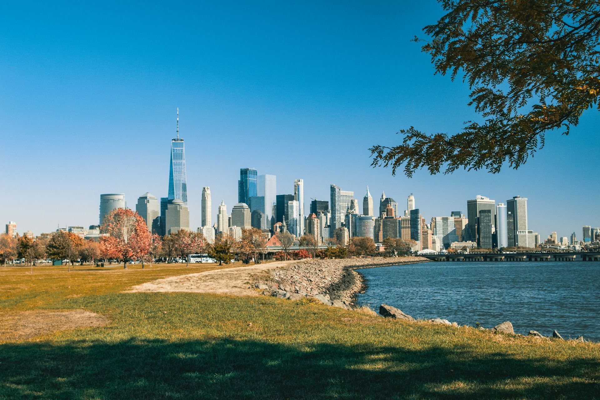 Skyline of tall buildings across a body of water, with a grassy area and tree in the foreground.