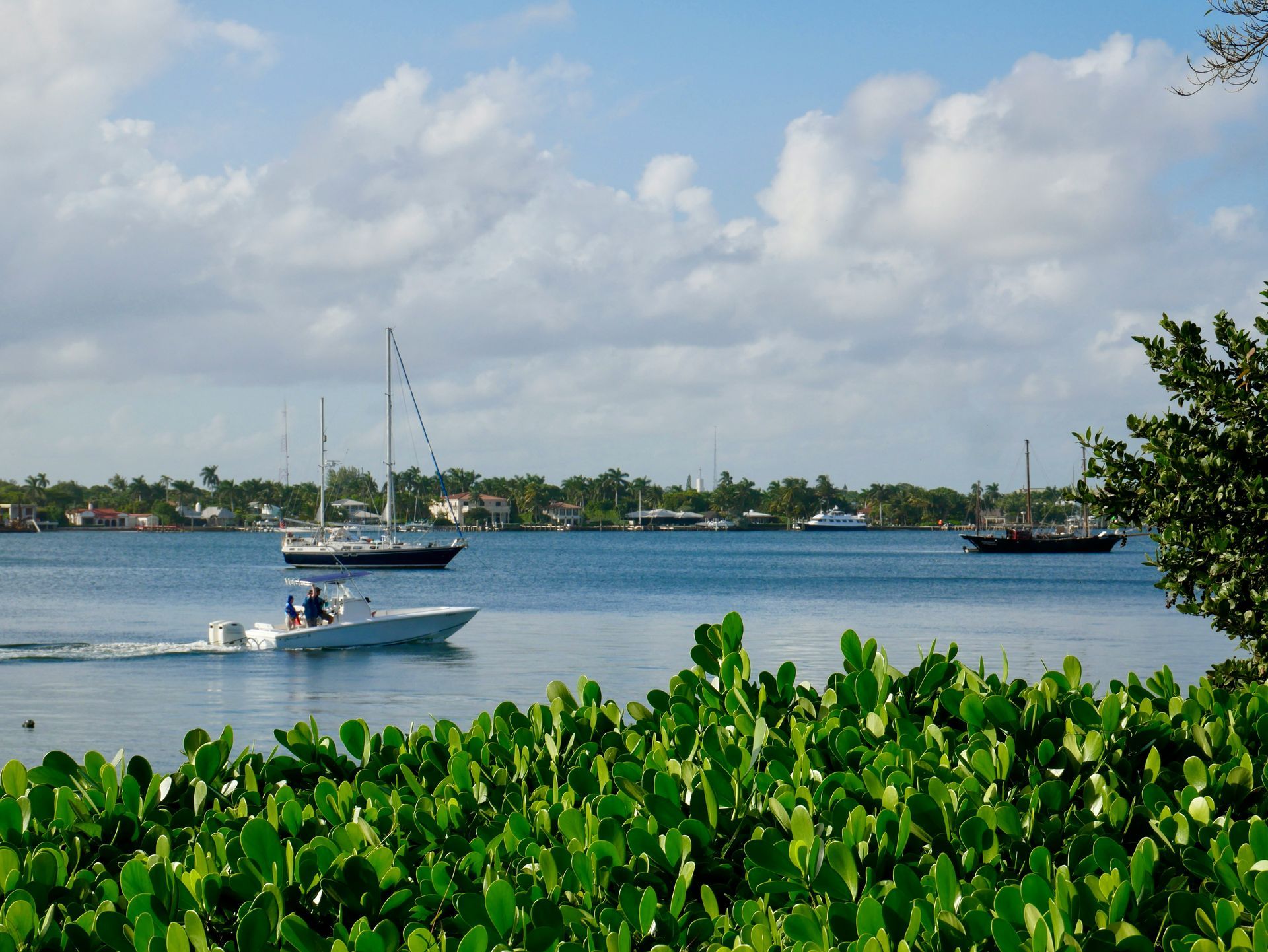 Boats on calm blue water, green foliage in foreground, houses on shore, sunny day.