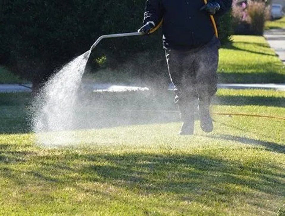 Prodotti per pulizie