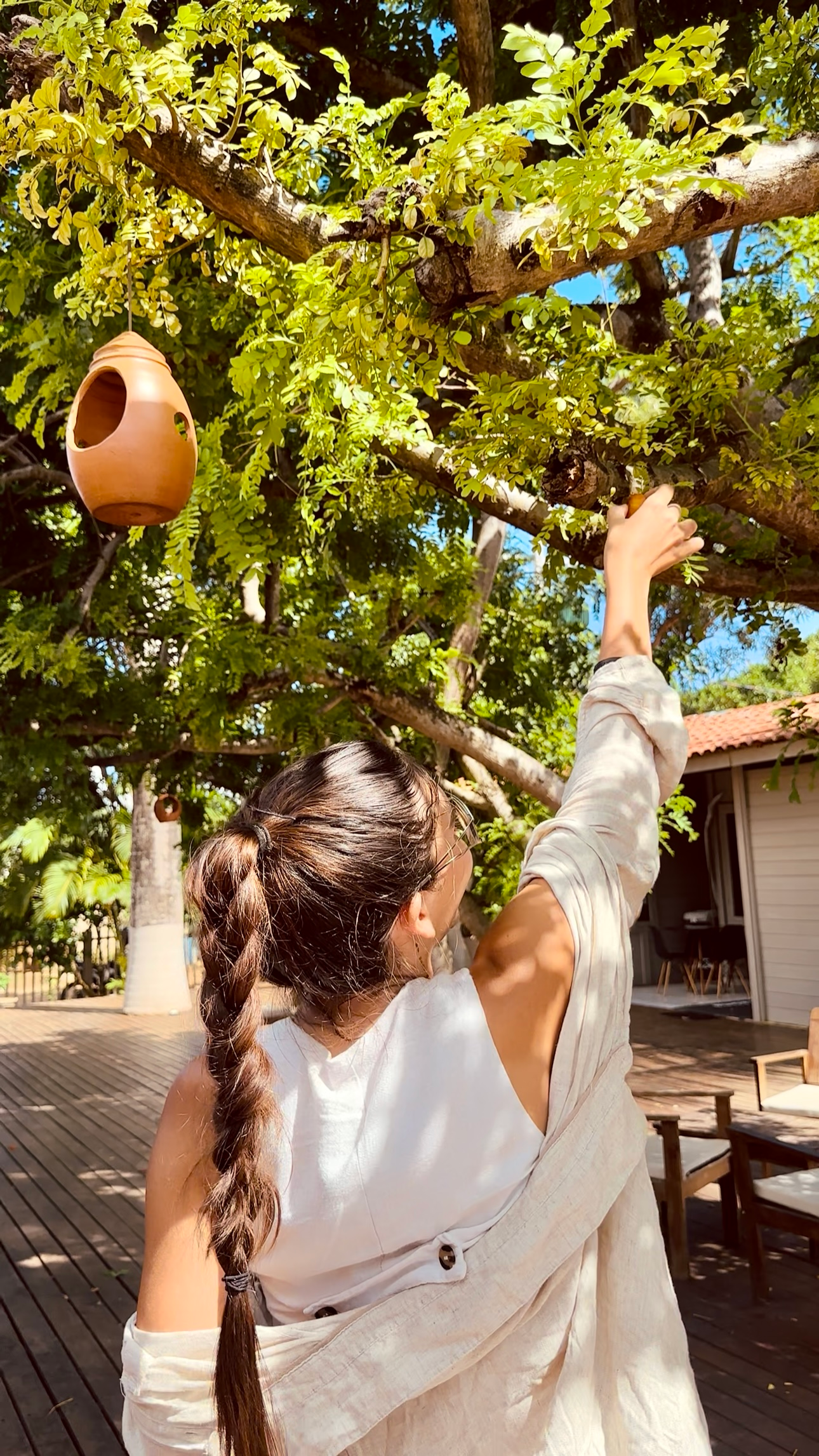 Uma mulher está pendurando uma casa de passarinho em um galho de árvore.