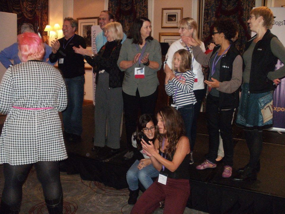 Classk9's dog training service photo 2