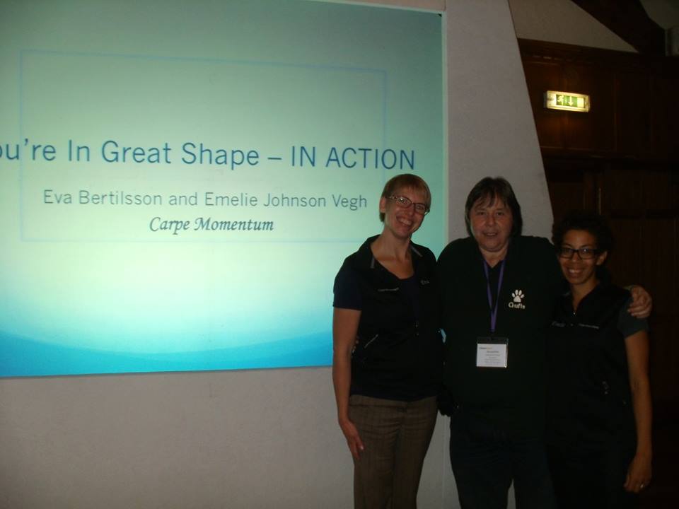 Classk9's dog training service photo 3