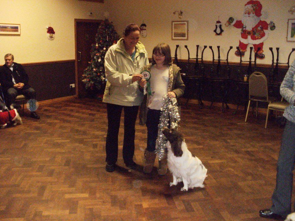 Classk9's dog training service photo 9