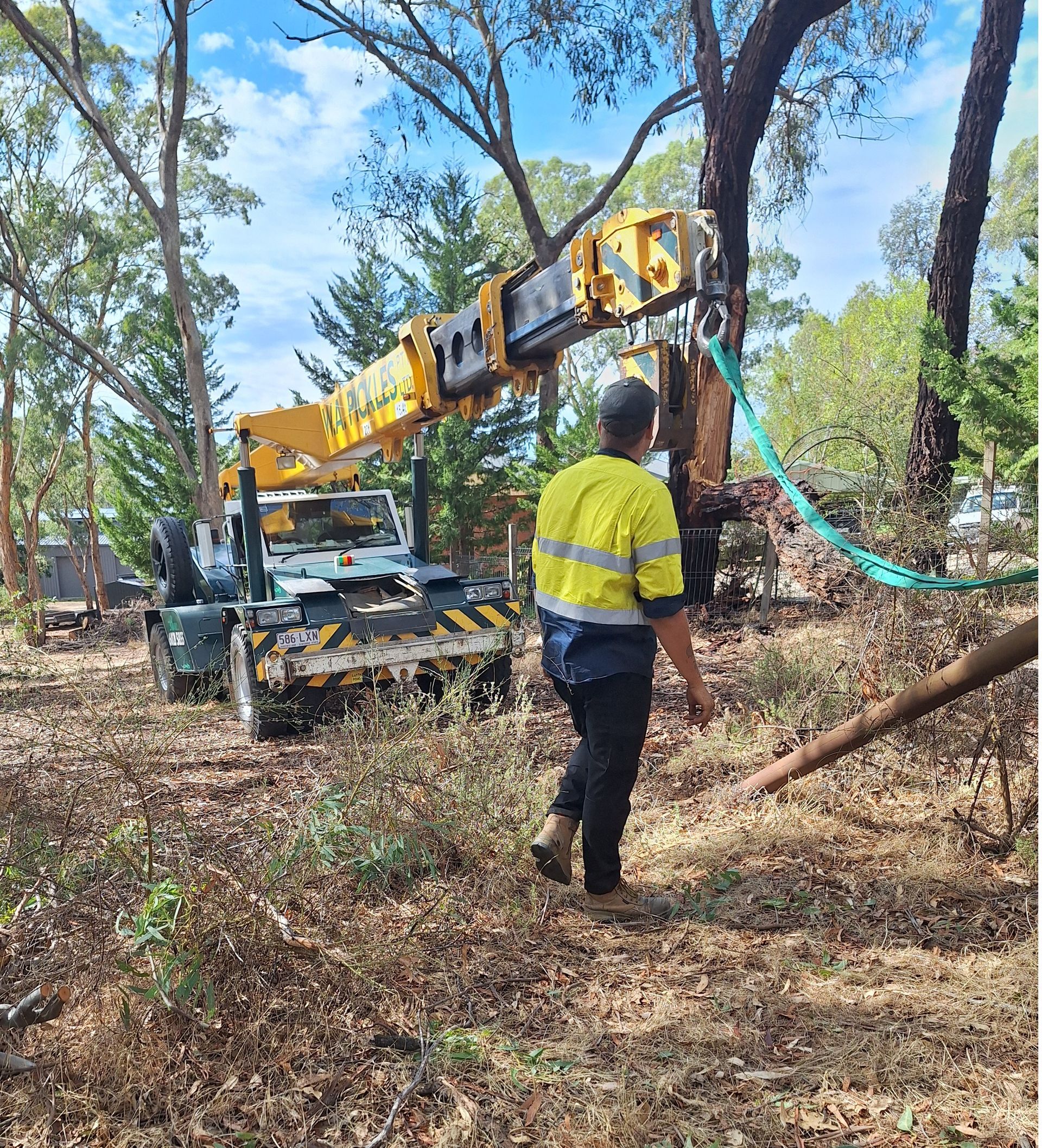 Worker operating a yellow crane to clear fallen trees in a wooded area