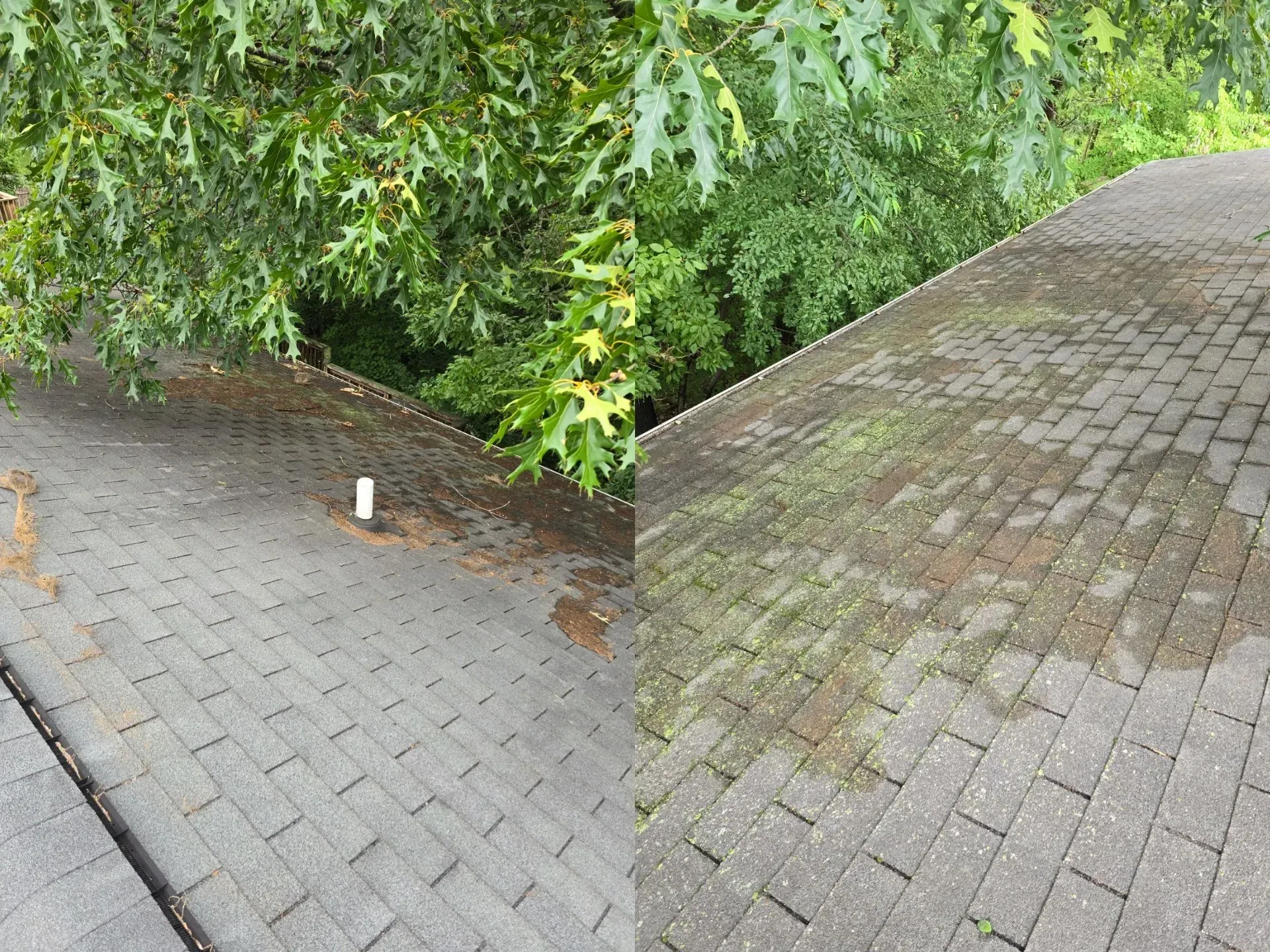 A before and after picture of a roof with a tree in the background.